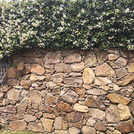 A Lu Ponti