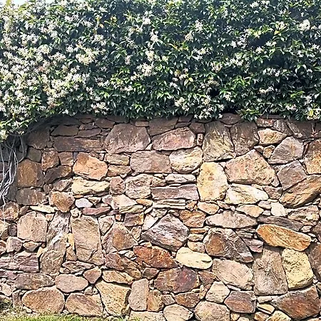 A Lu Ponti