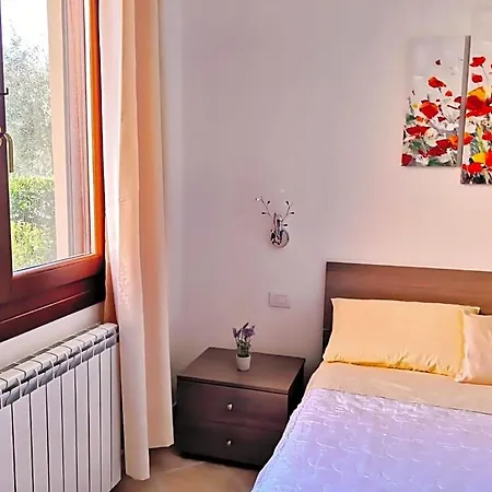 A Lu Ponti بودوني