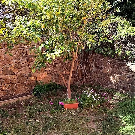 Bed and Breakfast A Lu Ponti 3*