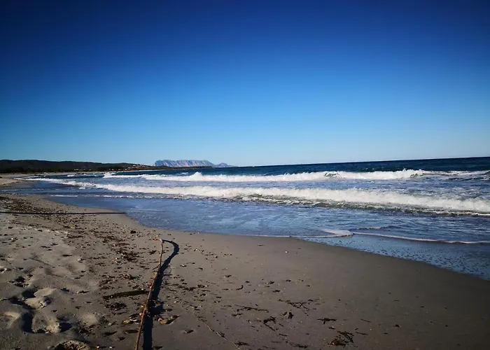 A Lu Ponti Oda ve Kahvaltı